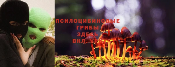 гидра Нязепетровск
