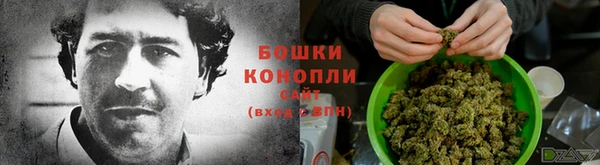 гидра Нязепетровск