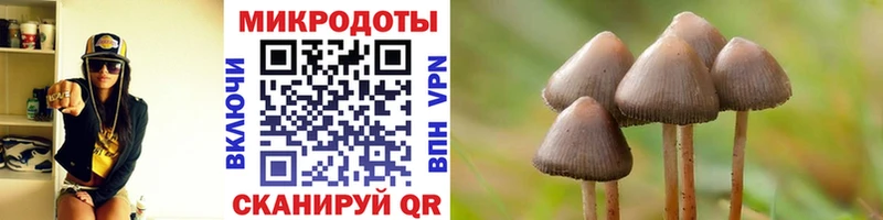 Галлюциногенные грибы мицелий  Купить закладки  Чистополь 